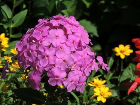 a0960_004819.jpg